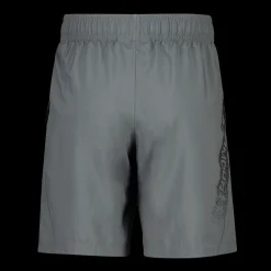 Ua Woven Graphic Shorts, Treningsshorts Herre
