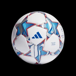 Uefa Champions League League 23/24, Fotball